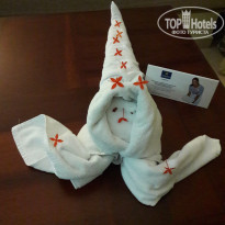 фото из отзыва ID 1455058