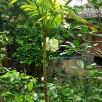 фото из отзыва ID 1455103