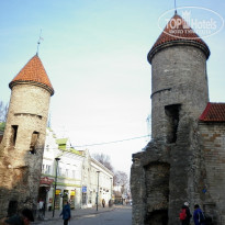 фото из отзыва ID 1455132