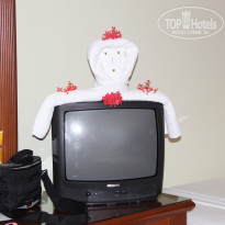 фото из отзыва ID 1455245