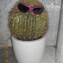 фото из отзыва ID 1455368