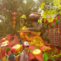 фото из отзыва ID 1455357