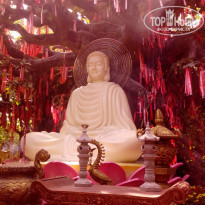 фото из отзыва ID 1455357