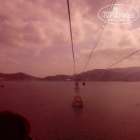 фото из отзыва ID 1455363