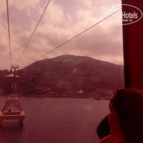 фото из отзыва ID 1455363