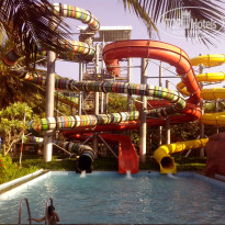 фото из отзыва ID 1455363