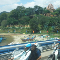 фото из отзыва ID 1455363