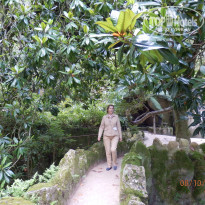 фото из отзыва ID 1455414