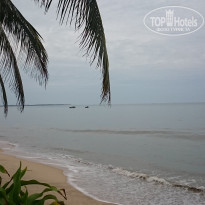 фото из отзыва ID 1455462