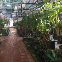 фото из отзыва ID 1455467