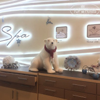 фото из отзыва ID 1455597