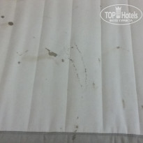 фото из отзыва ID 1455640