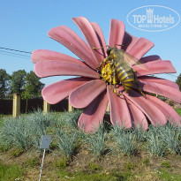 фото из отзыва ID 1455642