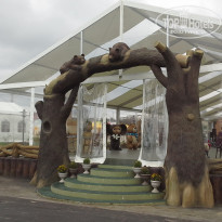 фото из отзыва ID 1455642