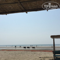 фото из отзыва ID 1455697