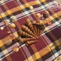 фото из отзыва ID 1455697