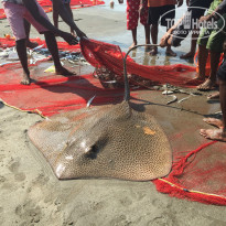 фото из отзыва ID 1455697