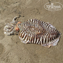 фото из отзыва ID 1455697