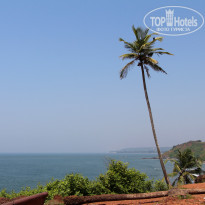 фото из отзыва ID 1455834