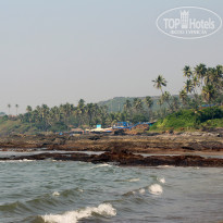 фото из отзыва ID 1455834