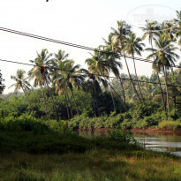 фото из отзыва ID 1455834