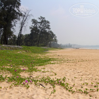 фото из отзыва ID 1455834