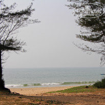 фото из отзыва ID 1455834