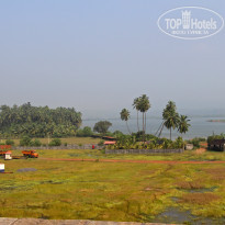 фото из отзыва ID 1455834