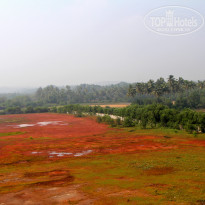 фото из отзыва ID 1455834