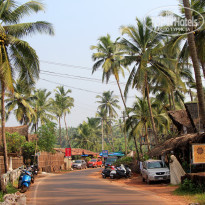 фото из отзыва ID 1455834