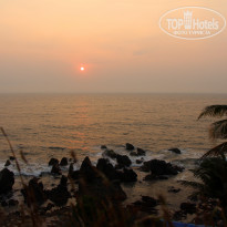 фото из отзыва ID 1455834