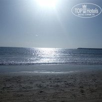 фото из отзыва ID 1455869