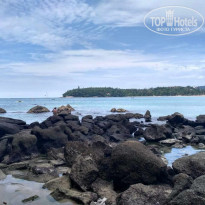 фото из отзыва ID 1455946