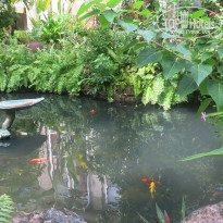 фото из отзыва ID 1455979