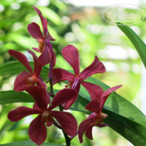 фото из отзыва ID 1455979