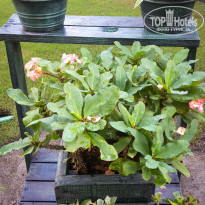 фото из отзыва ID 1456075