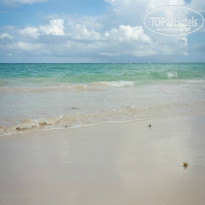 фото из отзыва ID 1456075