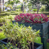 фото из отзыва ID 1456075