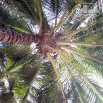 фото из отзыва ID 1456151