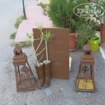 фото из отзыва ID 1456228