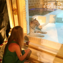 фото из отзыва ID 1456292