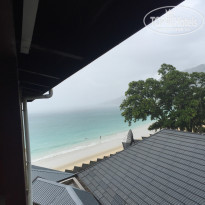 фото из отзыва ID 1456389