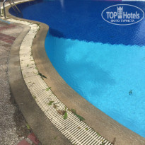 фото из отзыва ID 1455066