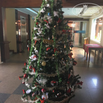 фото из отзыва ID 1456513