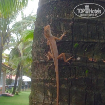 фото из отзыва ID 1455810