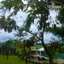 фото из отзыва ID 1455810