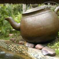 фото из отзыва ID 1455341