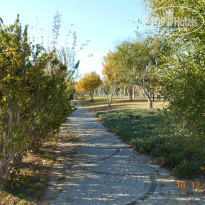 фото из отзыва ID 1456650