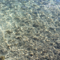 фото из отзыва ID 1456768