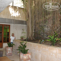 фото из отзыва ID 1456768